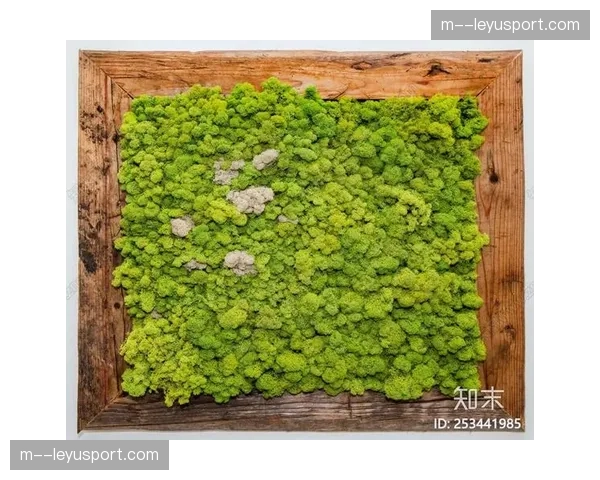 神经网络渲染器优化实景纹理，虚拟灯光实时反哺草皮